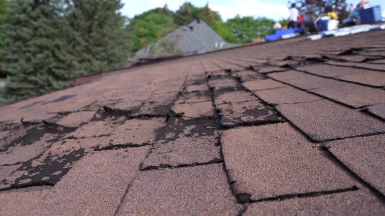 Best Solar Panel Roofing Installation  in St Henry, OH